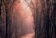 英超:伯恩茅斯和水晶宫以0比0踢和.