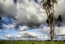 [澳网]郑钦文积极备战第二轮.