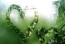 苏炳添回归赛场，新赛季首秀夺冠@央视体育.