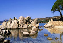 林孝埈：肩膀手术顺利 不影响米兰备战新华社客户端.